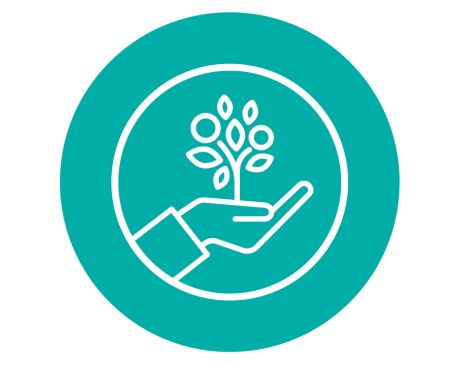 Illustration of hand holding a sapling symbolising growth